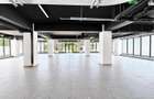 Spatiu Comercial Showroom 425mp Himson Aurel Vlaicu - 3