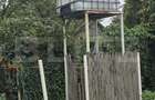 Casa 5 camere , 300 mp;  Teren - 2000 mp . Viile Satu Mare - 19