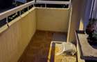 Apartament  2 camere  decomandat in Piatra Neamt - 1