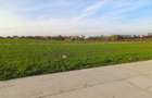 Loturi Intravilane In Rate Berceni | curent gaz asfalt iluminat | #SG1 - 15