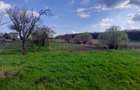 DE VANZARE TEREN 3400 MP IN SAT PODU ILFOVAT / COM BUTURUGENI (GR) - 11