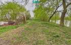 Teren 1 ha cu baltă populată – Alioș (Mașloc) - 11