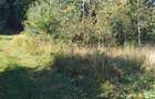 Teren Sacele zona de relaxare pretabil investitie - 5