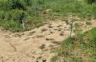 REPREZENATRE EXCLUSIVĂ! Teren intravilan construcții, zonă superbă, Livezeni. - 5