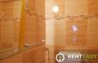 Apartament 3 camere Anastasie Panu - 14