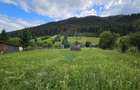 Casa 225 mp, teren intravilan 4822 mp C. Moldovenesc, Suceava - 19
