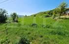 Teren intravilan de vanzare, 5000 mp, zona Viisoara, langa Metaller - 2