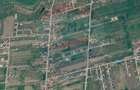 Teren 7.100 mp în Balotești, zonă rezidențială în dezvoltare - 3