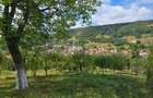 Casă de vânzare în exclusivitate, str. Română nr. 45, Sighisoara - 18