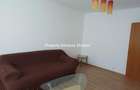 Inchirieri Apartamente 2 Camere Nicolae Caramfil - 9