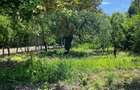 Casă de vânzare – Puchenii Mari, la 15 km de Ploiești - 11