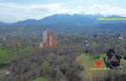 Teren Premium 1.200 mp | Bran - Predelut | Vedere spre Bucegi și Piatra Craiului - 4