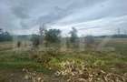 Teren extravilan, 3700mp, zona Unirea - 1