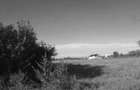 Teren extravilan- 2.500 mp, Daia - 2