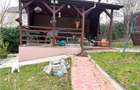 Vila / Spatiu 5 cam. Garaj, Beci, regie proprie,  200 mp, Tudor Neculai Valea Ad - 2