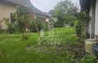Proprietate cu potential turistic in Gurahont - 24