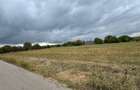 Vand teren Intravilan 1400 MP in Parcul National Comana - Vlad Tepes - Giurgiu - 11