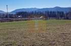 Teren intravilan de 4.000 mp în Bistrița – Alexandru cel Bun - 23
