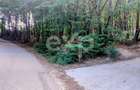TEREN STEFANESTI(VALEA MARE) ZONA IN PLINA DEZVOLTARE - 1