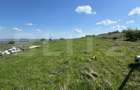 Cabana CHEILE TURZII, teren 8700 mp, priveliste superba - 4