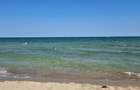 Apartament 3 camere Neptun - plaja Delfinul