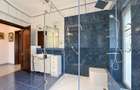 Bucium, langa Pleiada | casa 385mp, teren 770mp | pentru intreaga familie - 17