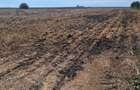 EXCLUSIVITATE! TEREN EXTRAVILAN -10.000 mp – COSTINEȘTI, SCHITU, ZONA RADAR