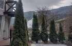 Casa de vanzare 6 camere, 4 dormitoare, 2 bai, localitatea Azuga - 19