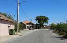 Teren Extravilan 10000 Mp Sibioara Constanta - 10