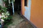 Piata Saraca-Casa 3 cam Caramida 100mp utili toate utilitatile teren 196 mp - 2