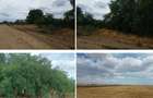 Teren agricol extravilan Frumusani 22810 mp - 2