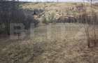 Teren intravilan, cu casa, 13800 mp, Suceagu - 2