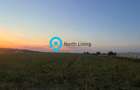 SUPER OCAZIE TEREN 700 M PRET EXCELENT! - 2