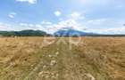 4.260 mp intravilan | 4 loturi | Valea Glăjăriei – Râșnov | 40 €/mp - 8