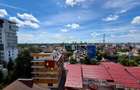 Penthouse Triplex Exclusivist *285mp* // Rooftop *93mp* // 2 Parking / Herastrau - 5