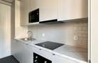 Inchiriere apartament - SPATIU BIROU, Septimiu Albini zona Hermes - 7