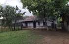 VANZARE CASA | TEREN 2.500 MP | LIVADA SI GRADINA | COMUNA BEUCA, TELEORMAN - 11