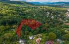 Teren 3.886 mp, Breaza - Podu Vadului, 30 m deschidere la asfalt - 2