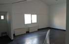 Hala pentru depozitare/productie, 810mp, zona Bulgaria - 7