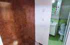 ROANDY-Apartament renovat,mobilat si utilat-Malu Rosu - 7