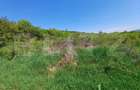 Teren intravilan de vanzare, 6200 mp, zona Viisoara, langa Metaller - 1