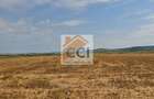 Teren intravilan– 50.000 mp, Bacău, Șoseaua Hol - 9