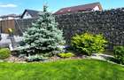 Resedinta high-tech, lot privat 1.000 mp, Tarlungeni, Brasov: Tur LIVE! - 9