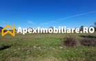 Corbeanca - Tamasi | Teren 1225mp, deschidere 44ml | Utilitati la 50m - 13