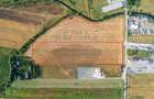 Teren 20.000 mp Arad. Ideal pentru mica industrie, servicii, transport - 6