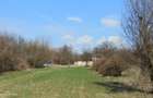 Teren intravilan Măgurele langa padurea Cornetu si Arges - 7