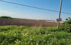 Teren 10.000 mp Clinceni – Deschidere la drum principal | Zonă mixtă - 4