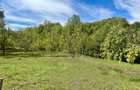 Teren 9.800 mp – Investiție ideală în mijlocul naturii | 10€/mp - Comision 0% - 8