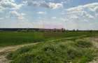 Poșta -Teren 12.450mp pretabil hală/rezidențial la 150ml de utilități - 1
