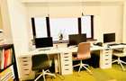 Birouri private, spatii creative in vila de lux, zona ultracentrala | Dorobanti - 23